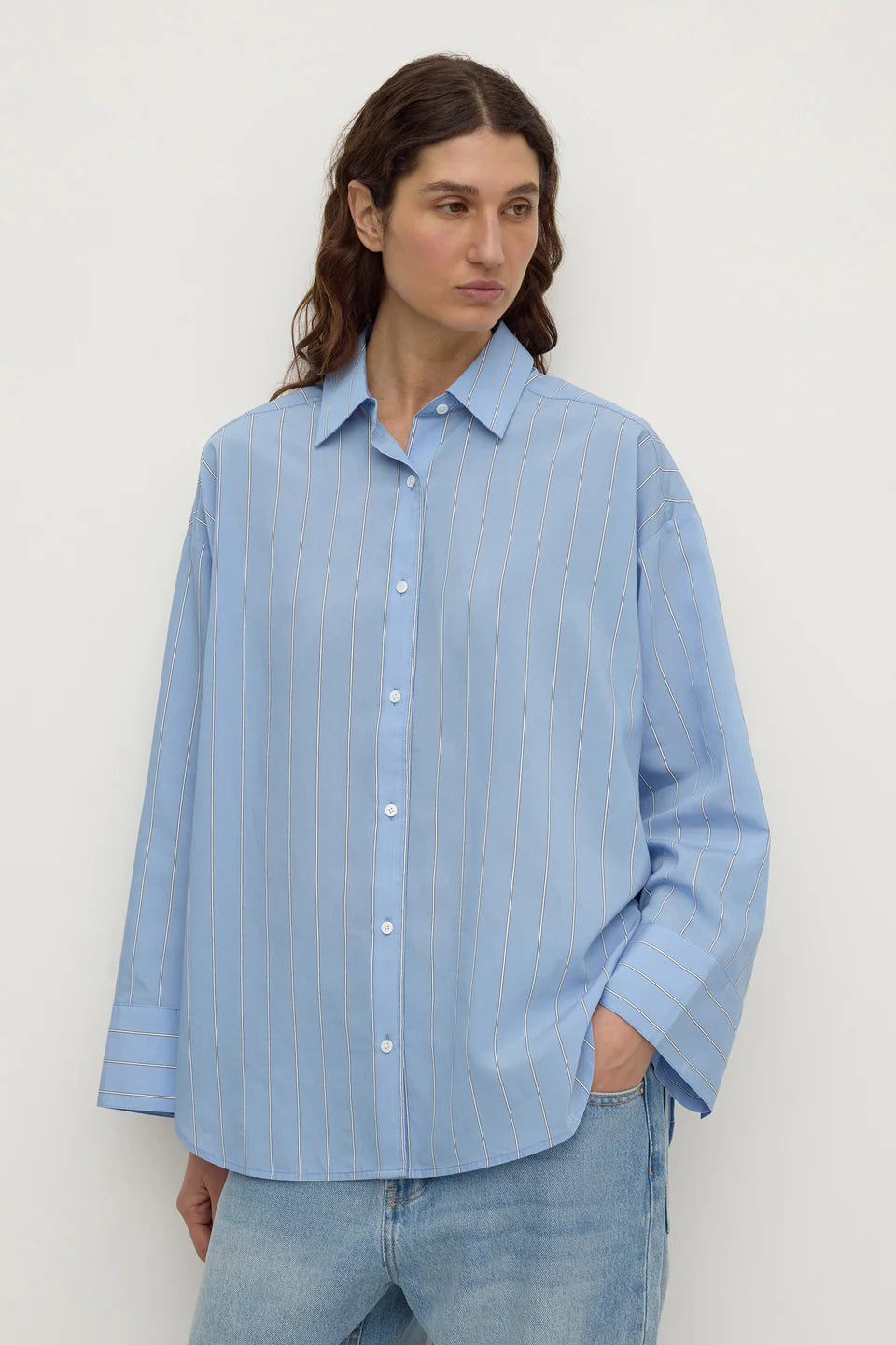 Assembly Label Delaney Italian Stripe Shirt - Blue