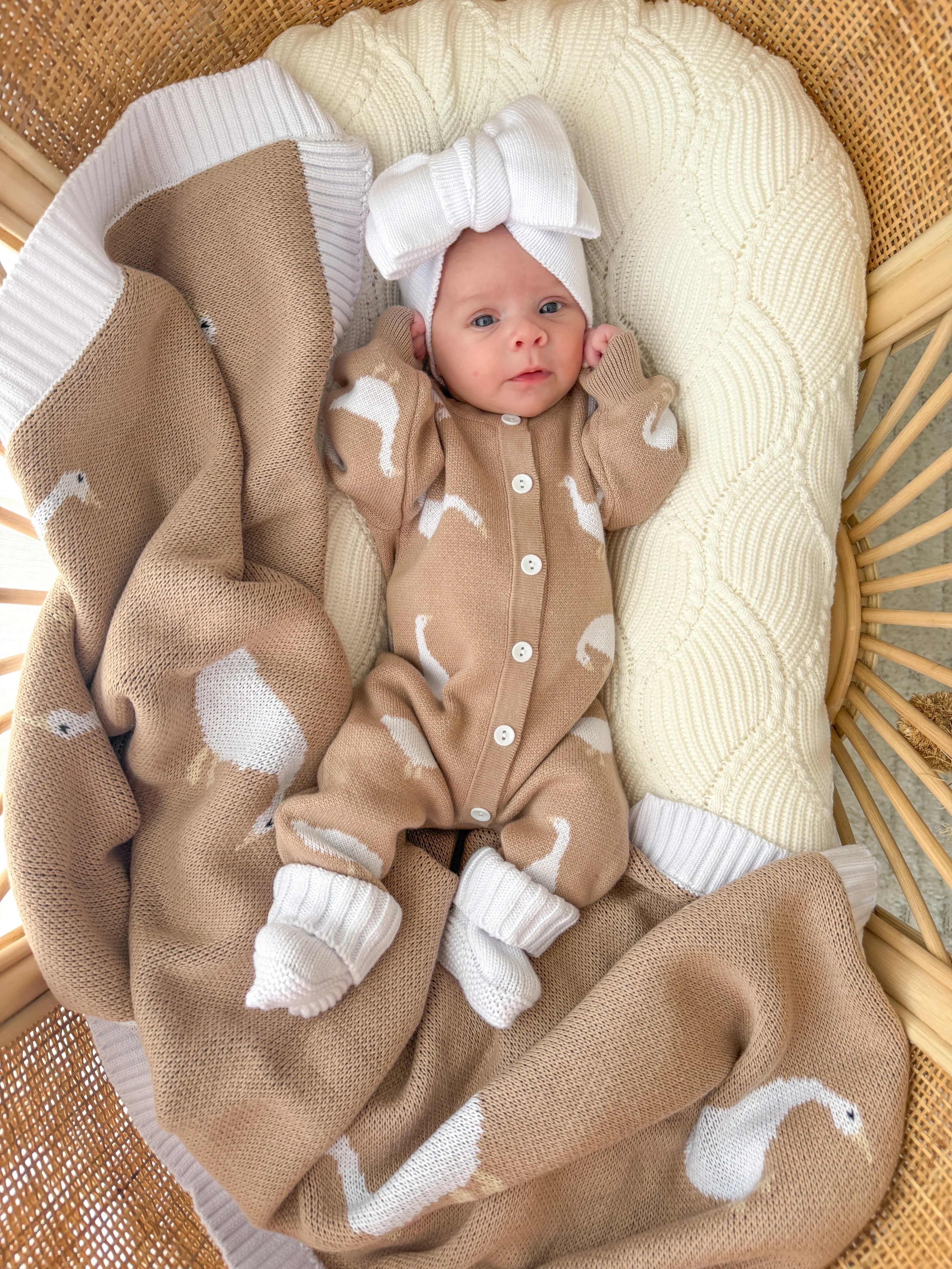 Coko Baby Onesie - Little Goose