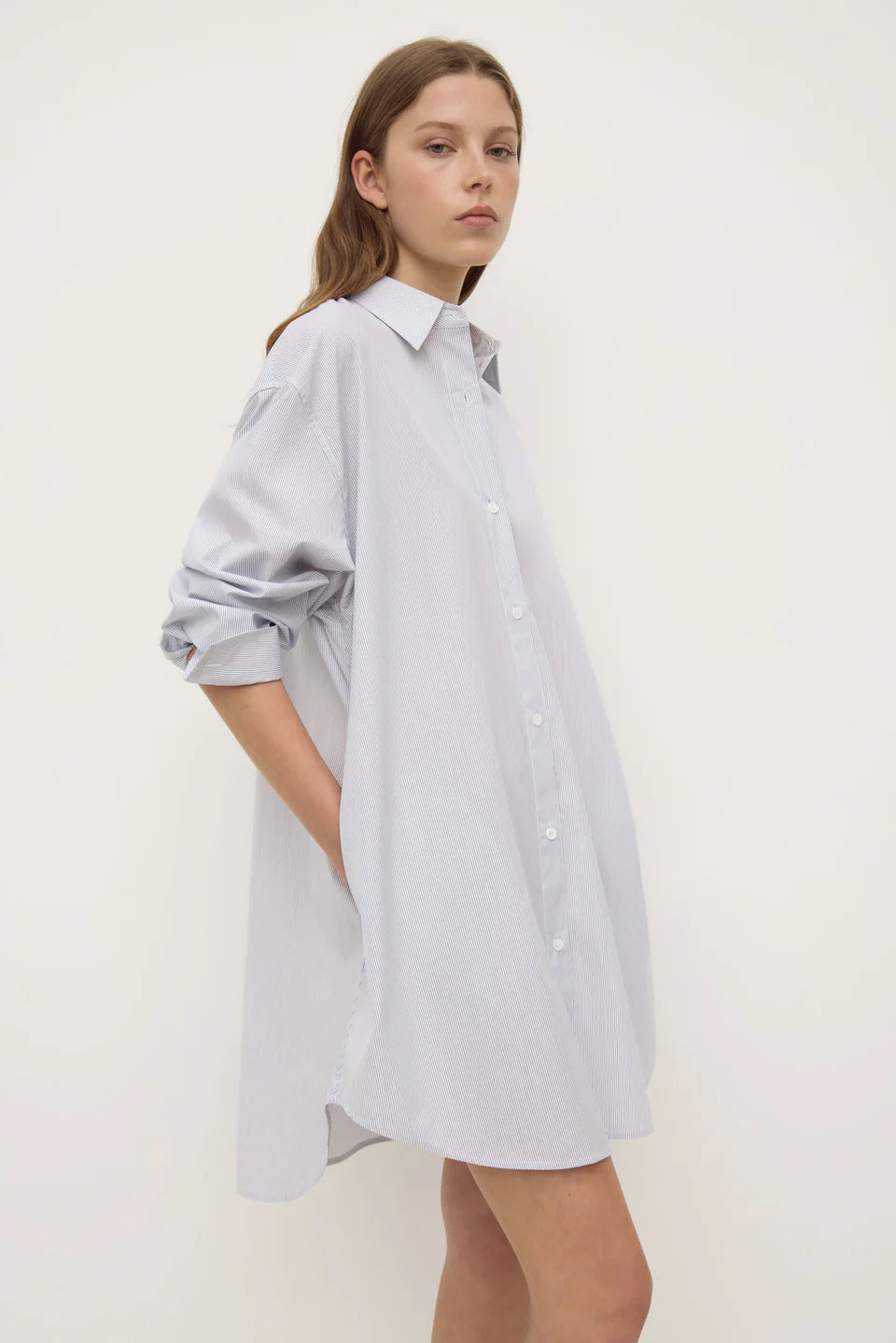 Assembly Label Cora Stripe Shirt Dress - White & Navy