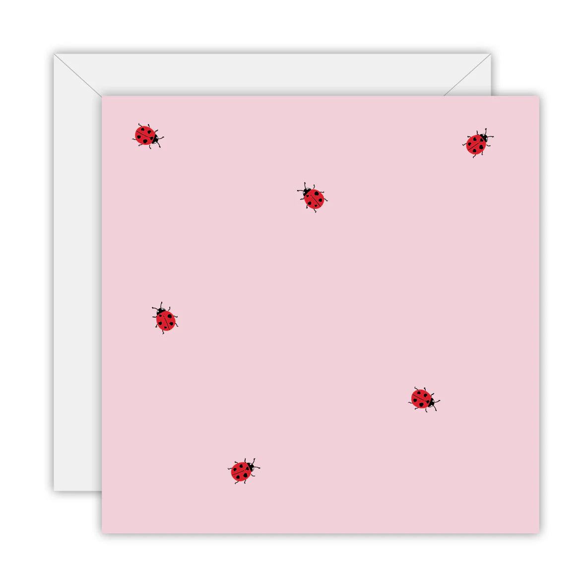 Lady Bug - Blank Greeting Card