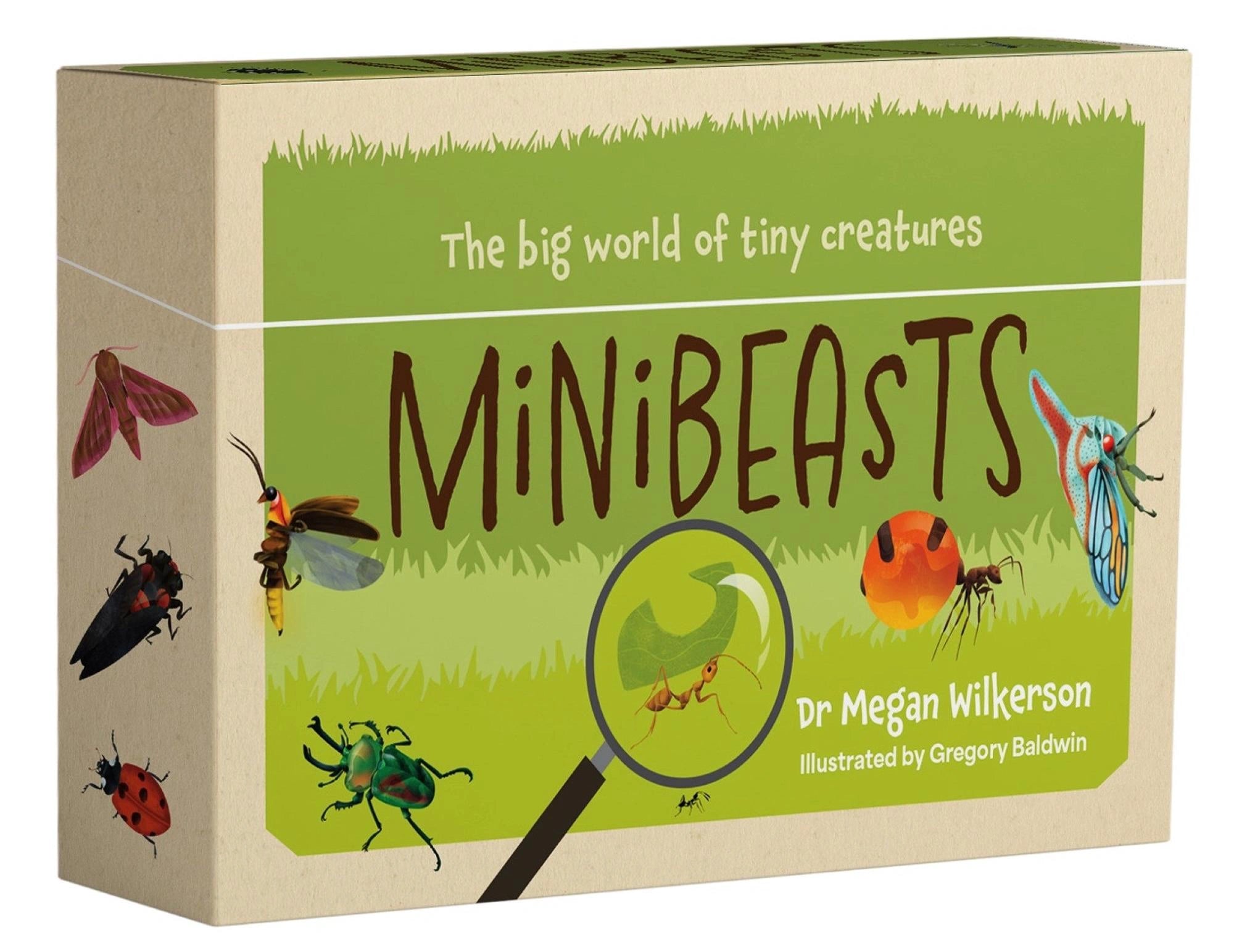 Minibeasts