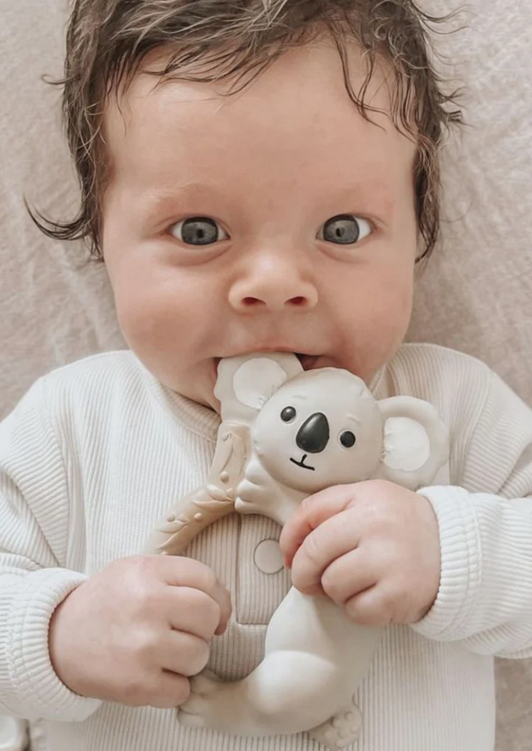 Winnie Parkes Banks the Koala - Teething Ring