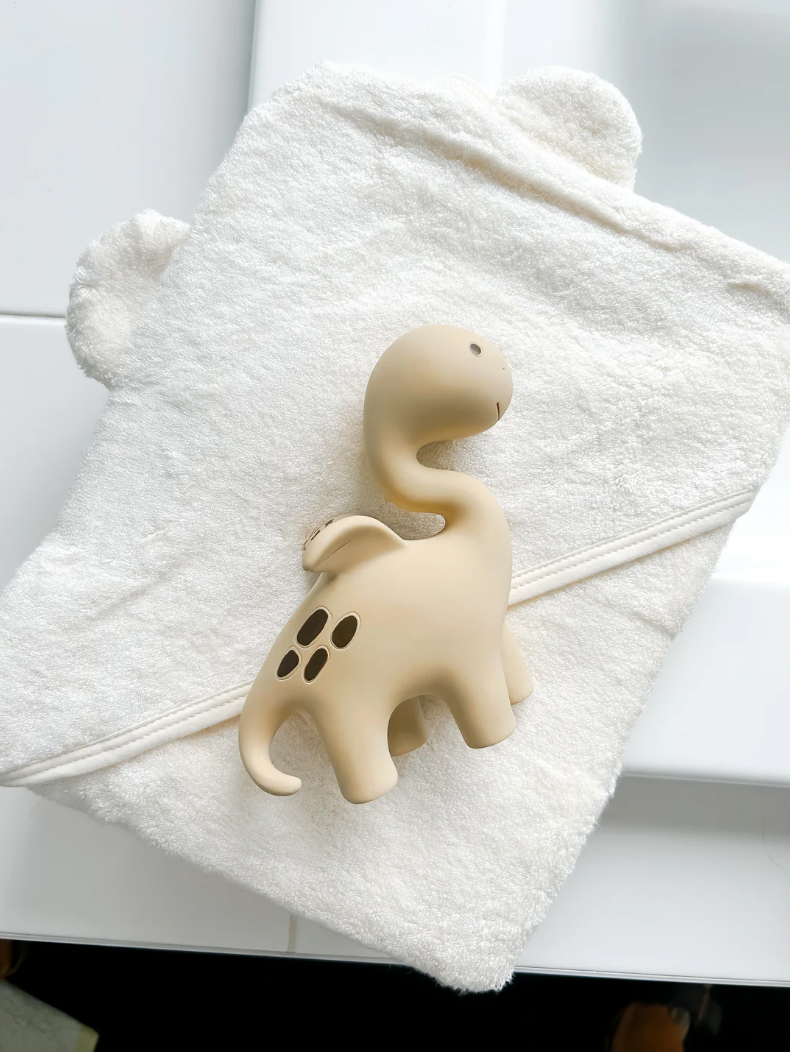 Winnie Parkes Dino - Dragon Teether - Brown