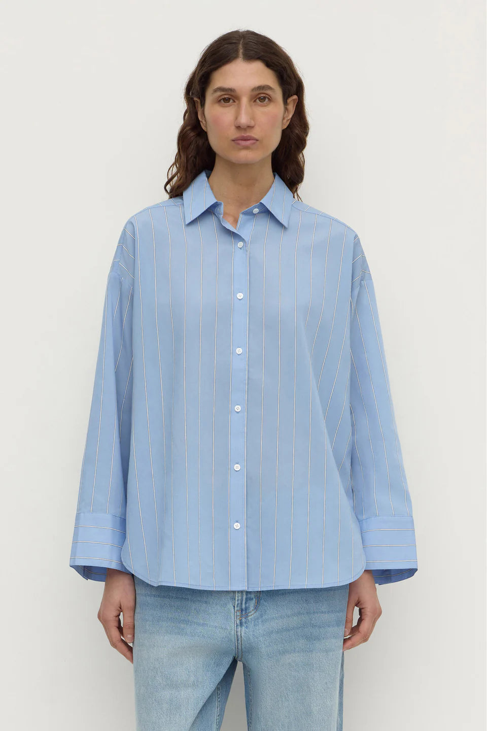 Assembly Label Delaney Italian Stripe Shirt - Blue
