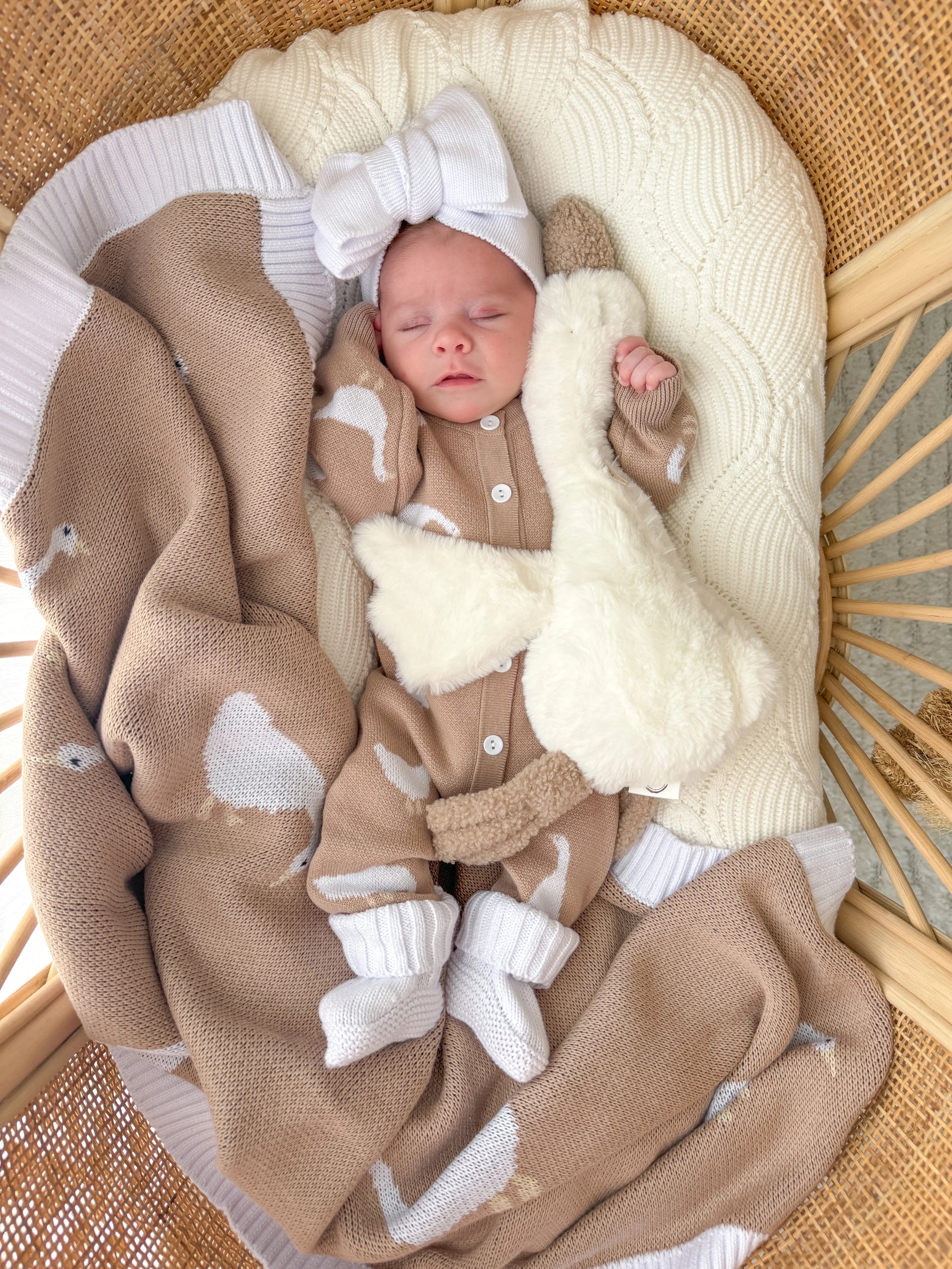 Coko Baby Onesie - Little Goose
