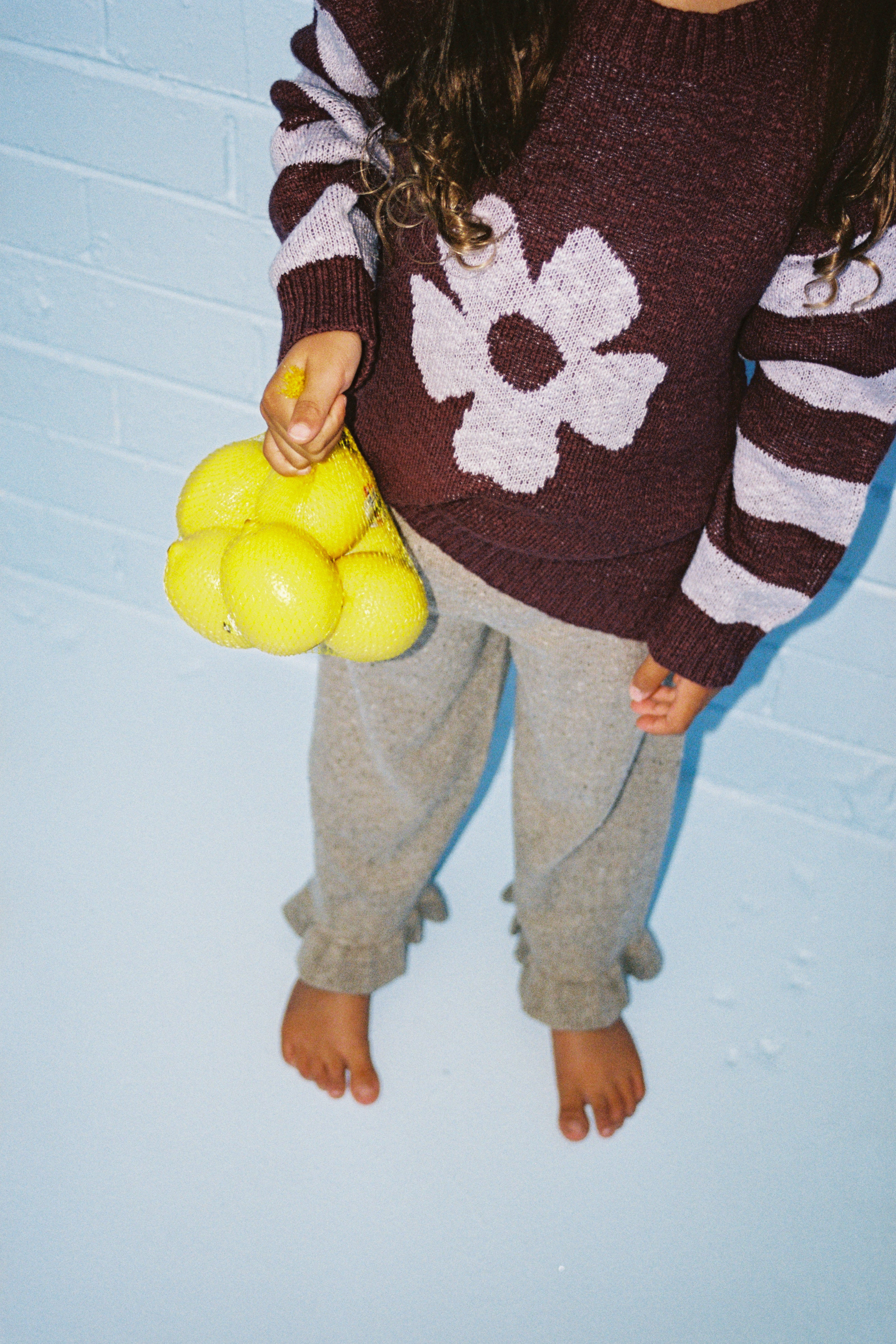 Grown Bloom Knit Pullover - Plum