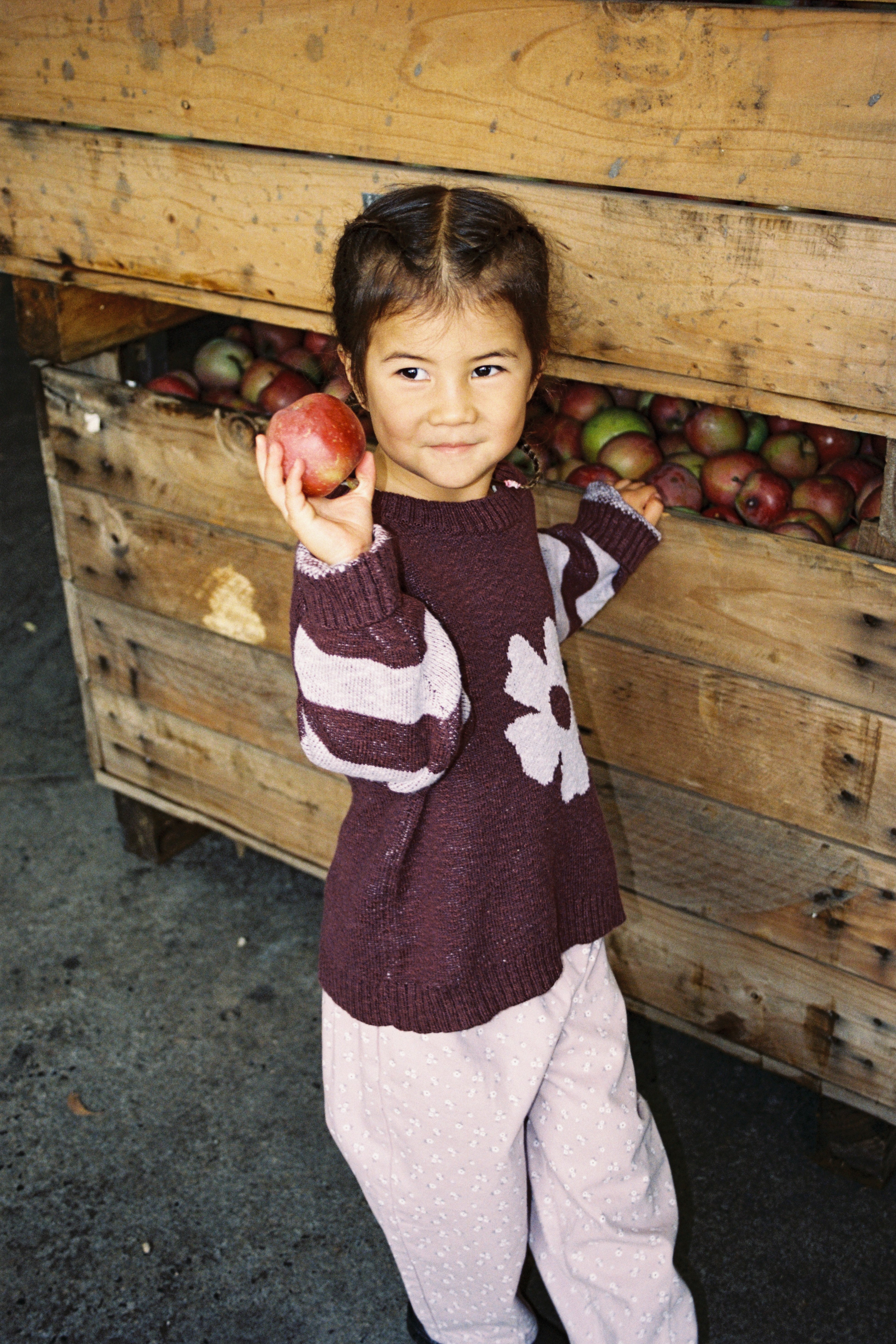 Grown Bloom Knit Pullover - Plum