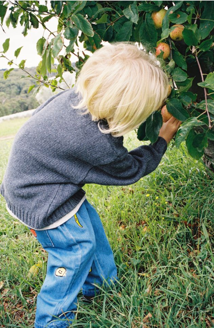 Grown Fruit Salad Denim Pants