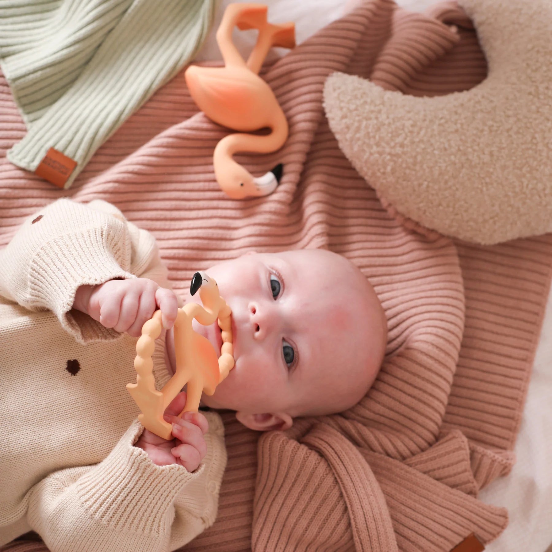Lingo The Flamingo Teething Toy - Mini
