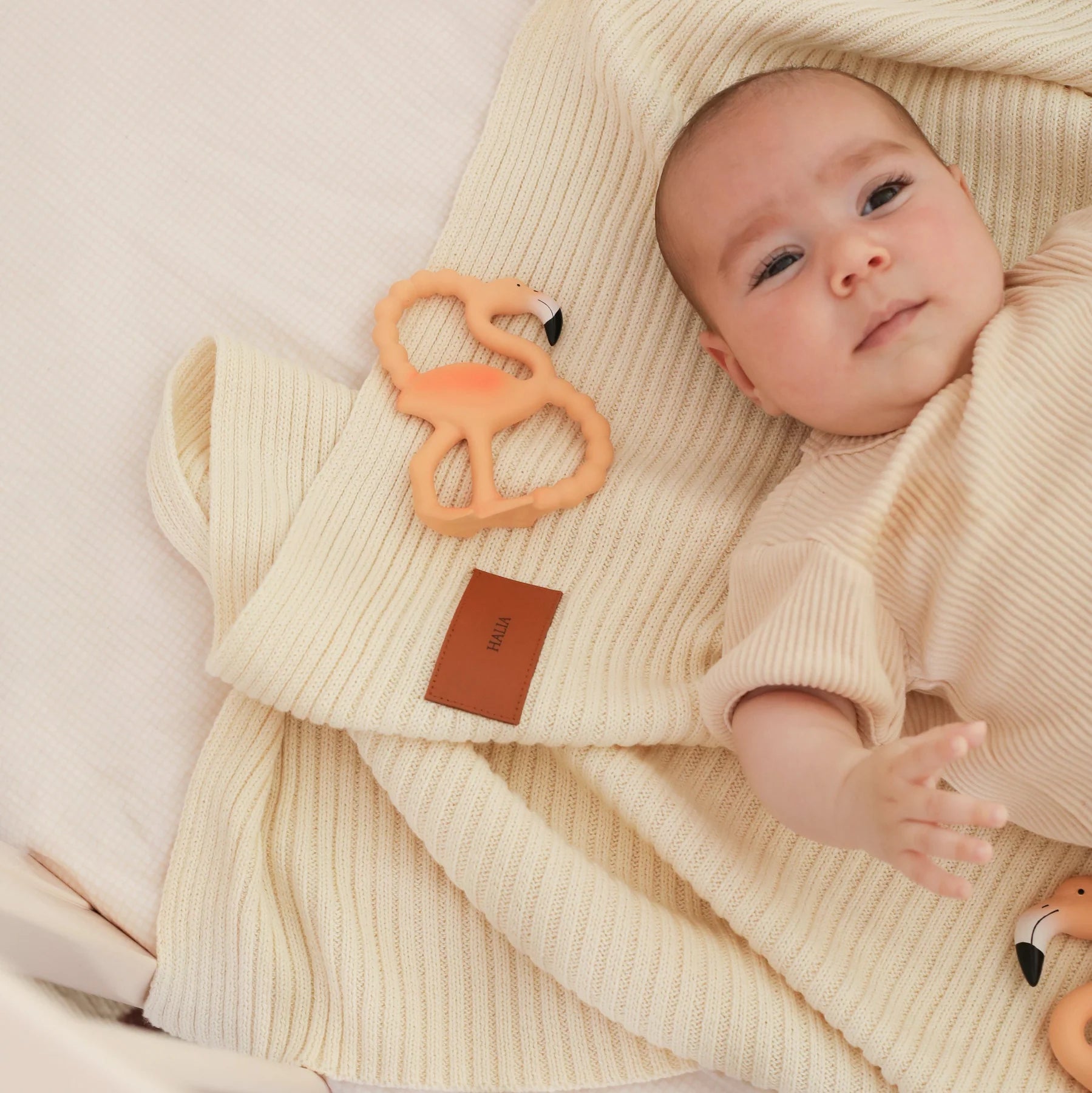 Lingo The Flamingo Teething Toy - Mini