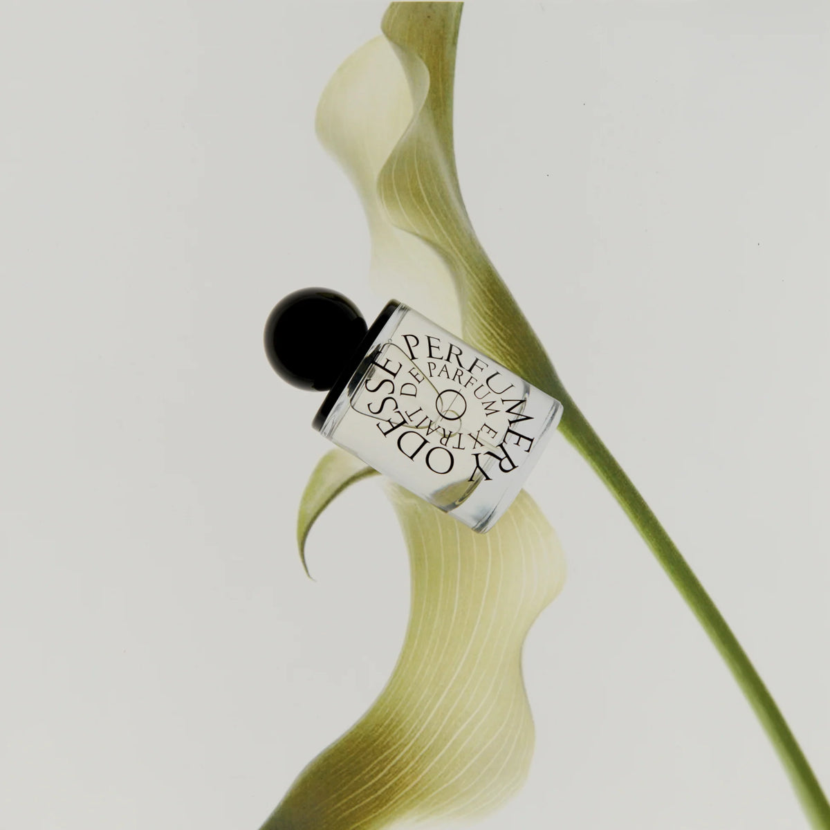 Odesse Spray Perfume Morning Skin