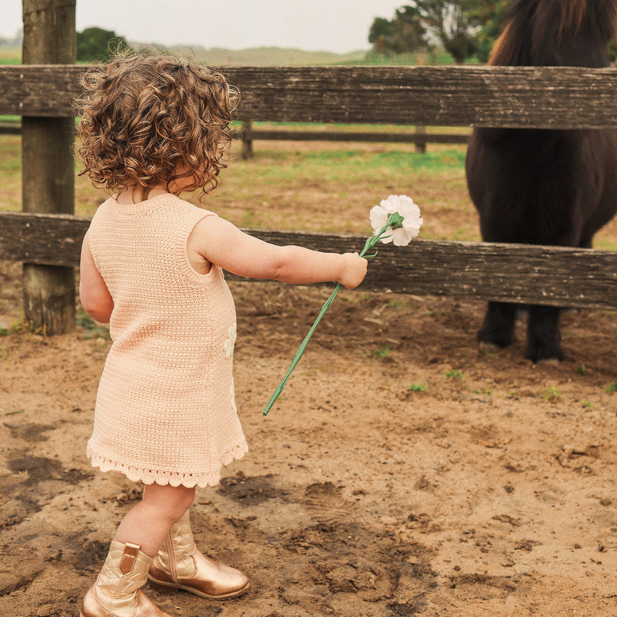 Kynd Crochet Dress - Blooms