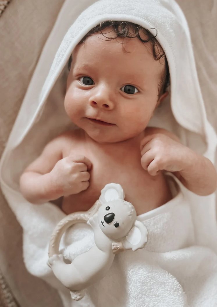 Winnie Parkes Banks the Koala - Teething Ring