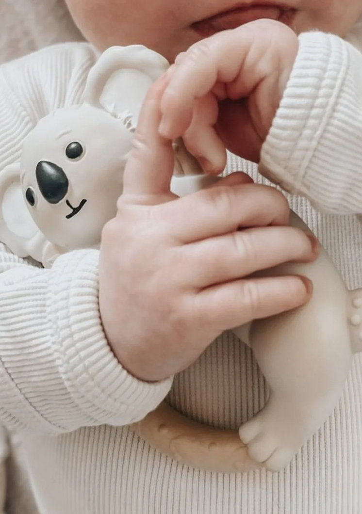 Winnie Parkes Banks the Koala - Teething Ring