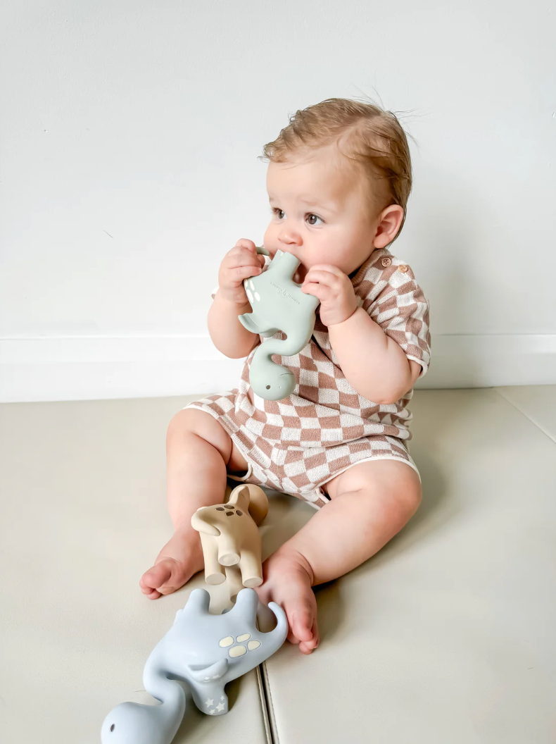 Winnie Parkes Dino - Dragon Teether - Brown
